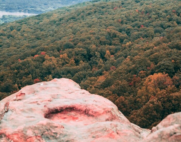 concrete cleaning chattanooga